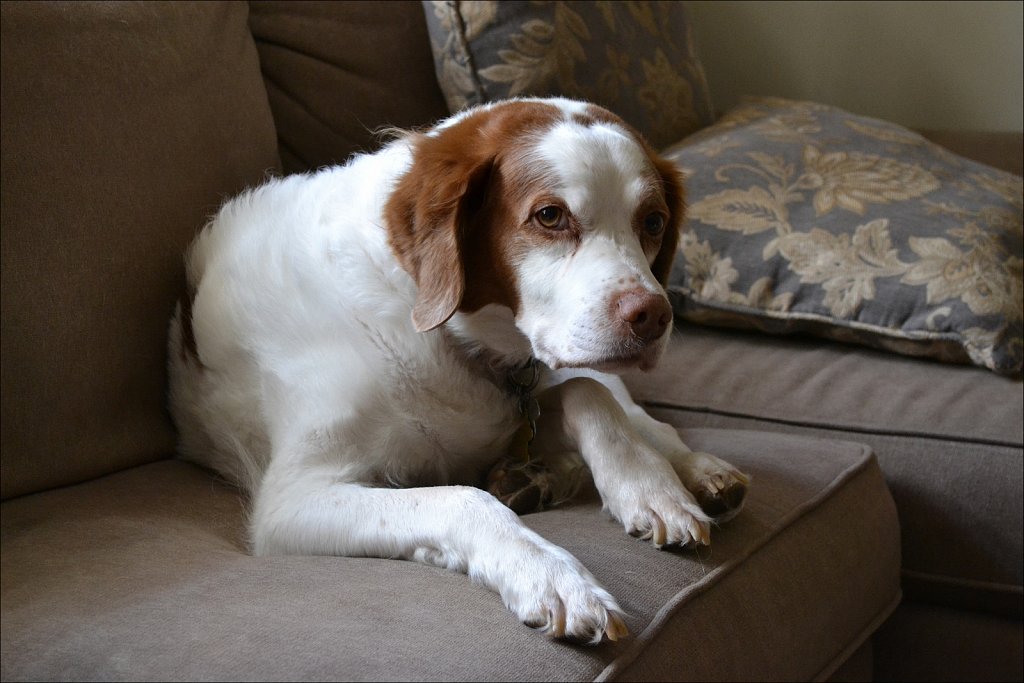 D3100 Test