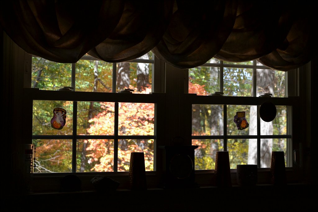 D3100 Test