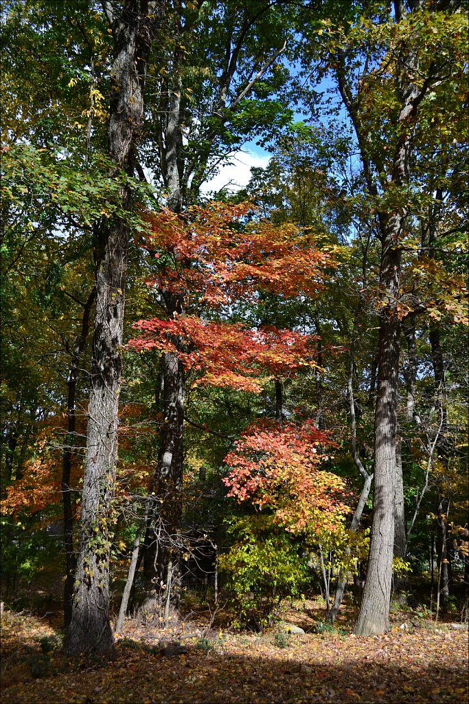 D3100 Test