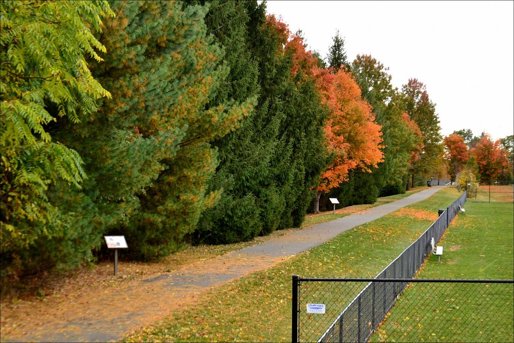 Turkey Brook Park