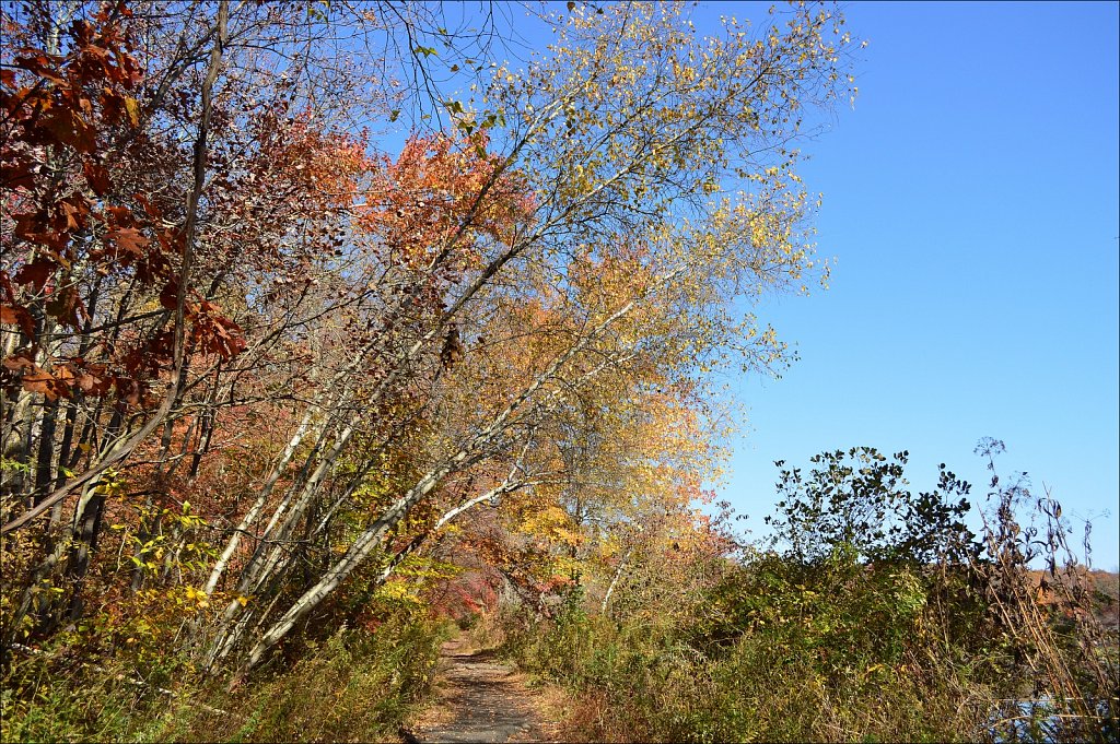 Sussex Branch Trail