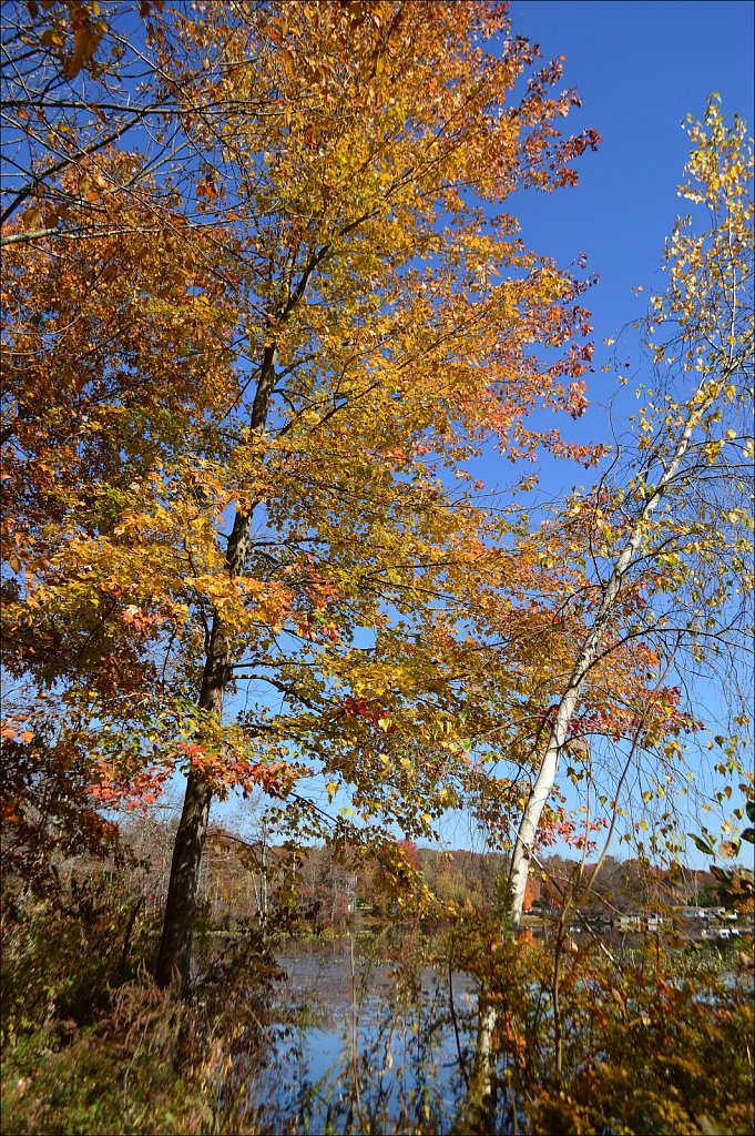 Sussex Branch Trail