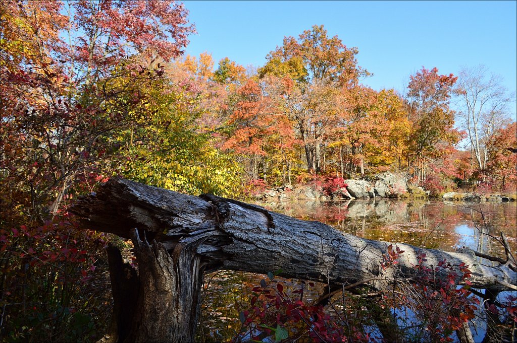 Sussex Branch Trail