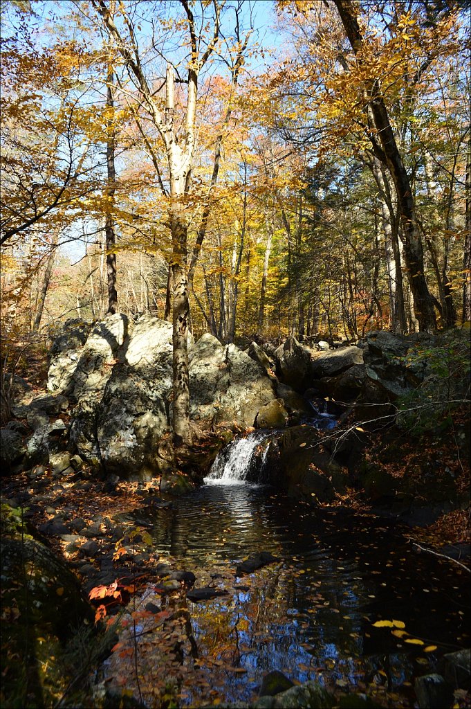 Sussex Branch Trail