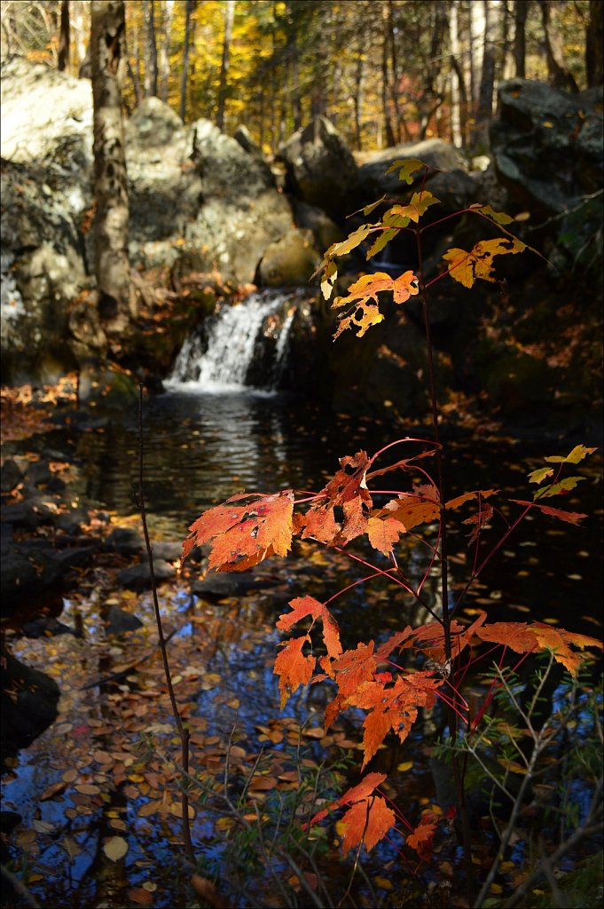 Sussex Branch Trail