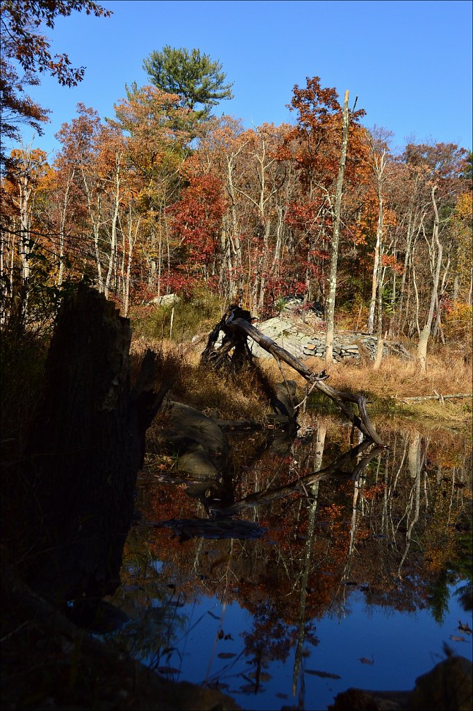 Sussex Branch Trail