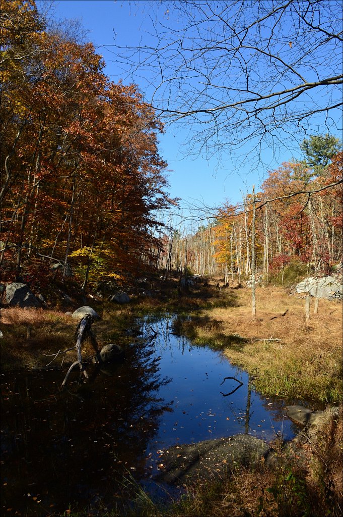 Sussex Branch Trail