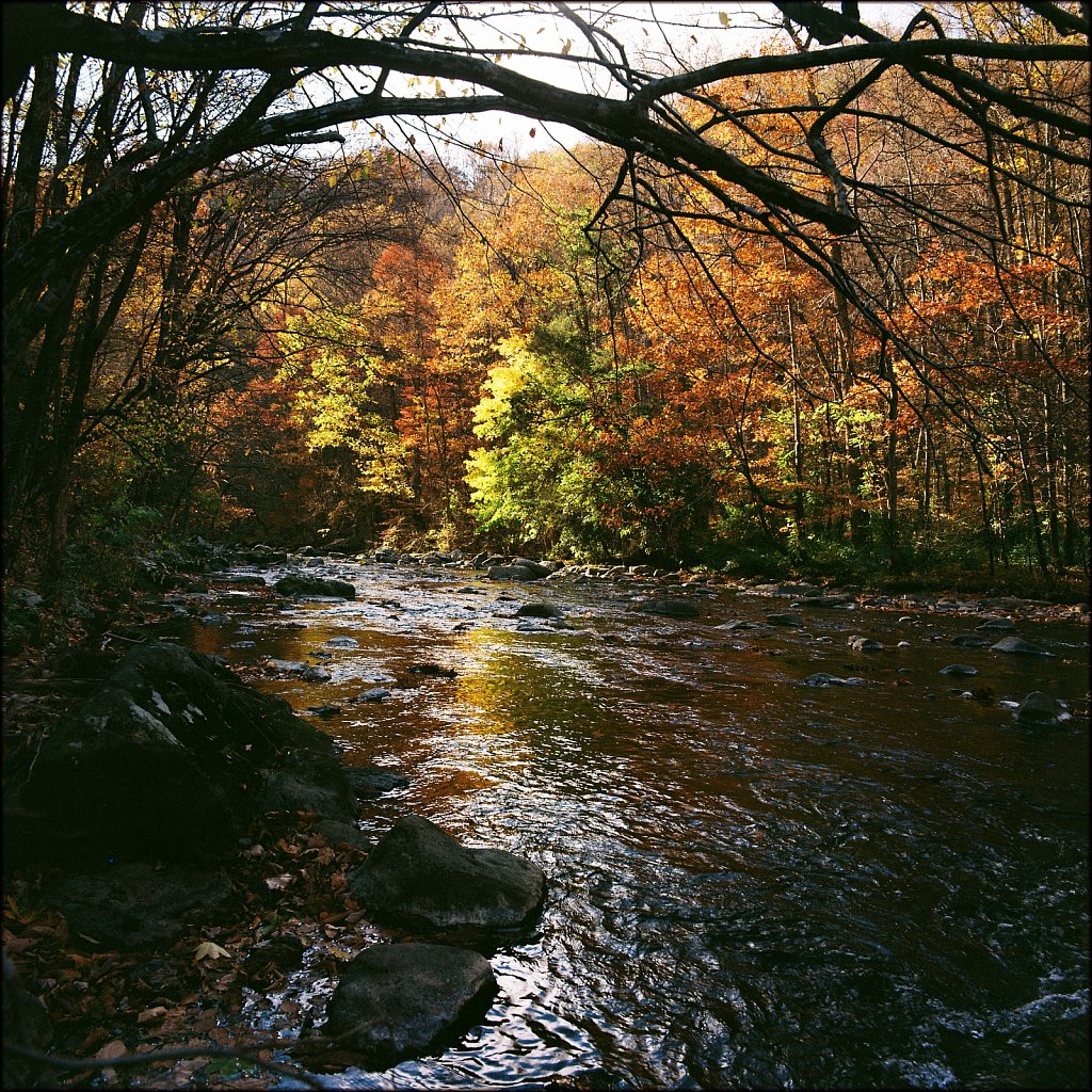 Hasselblad 500 CM