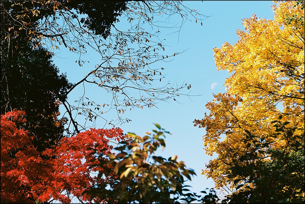 Columbia Trail 