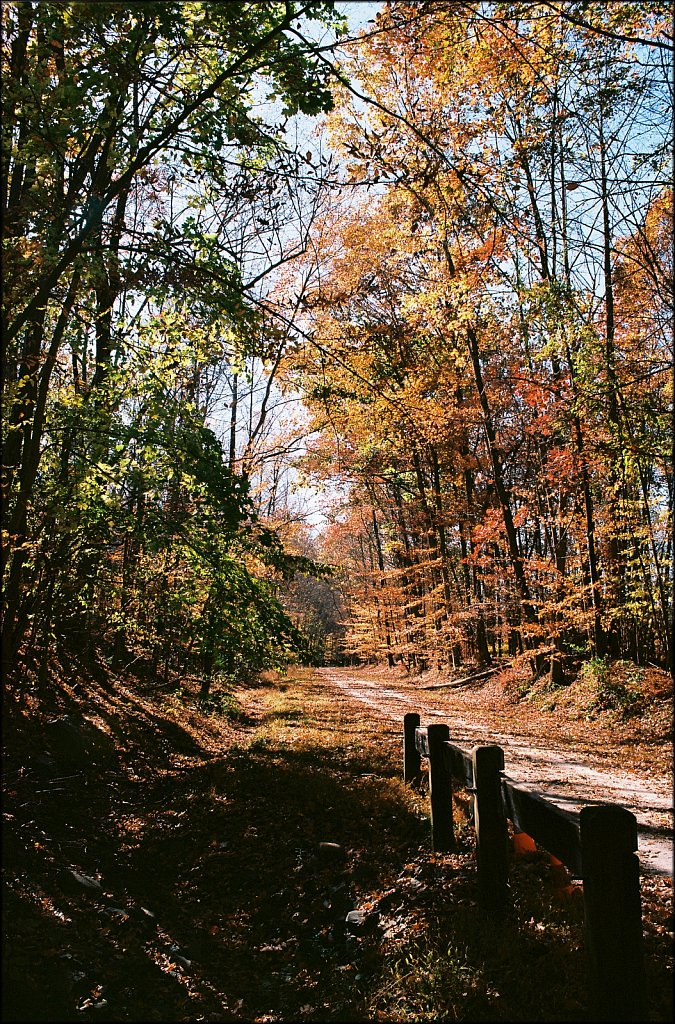 Columbia Trail 