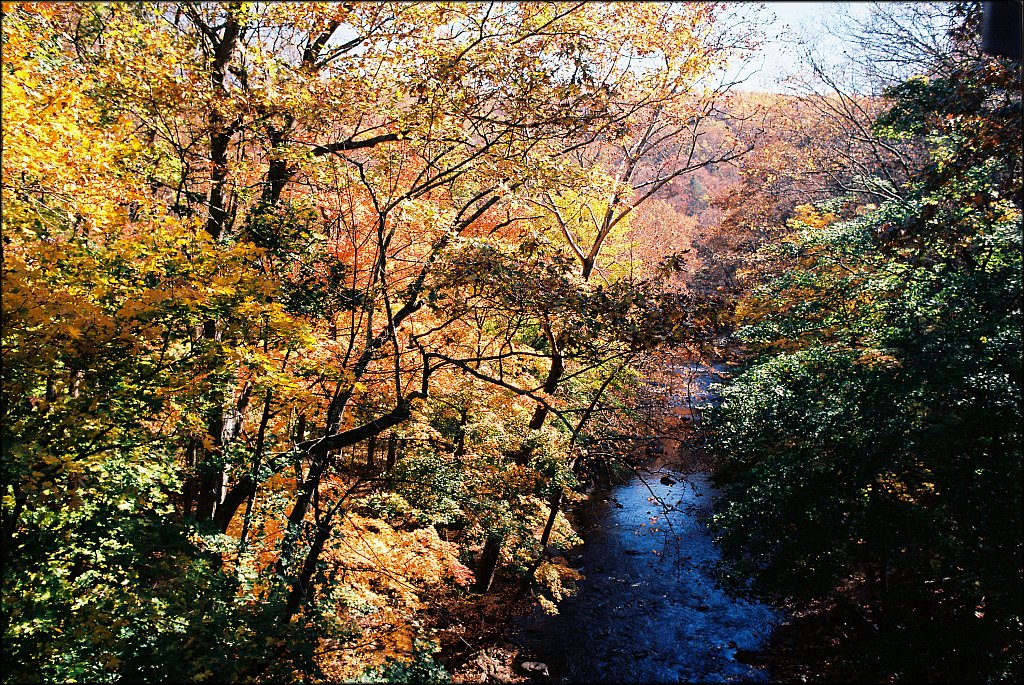 Columbia Trail 