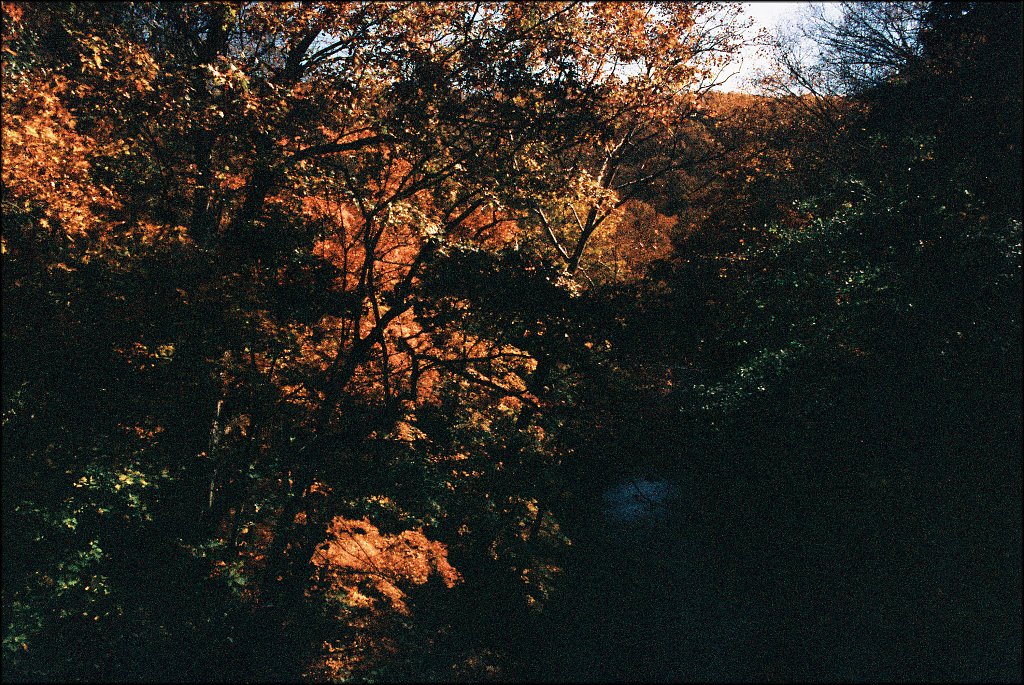 Columbia Trail   