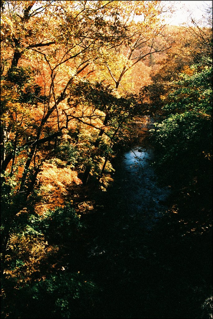 Columbia Trail   