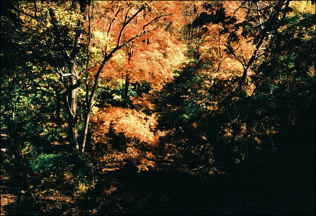 Columbia Trail   