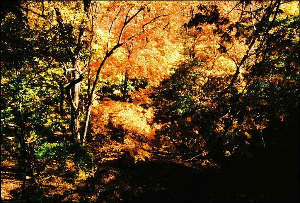 Columbia Trail   