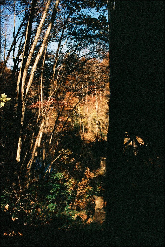 Columbia Trail   