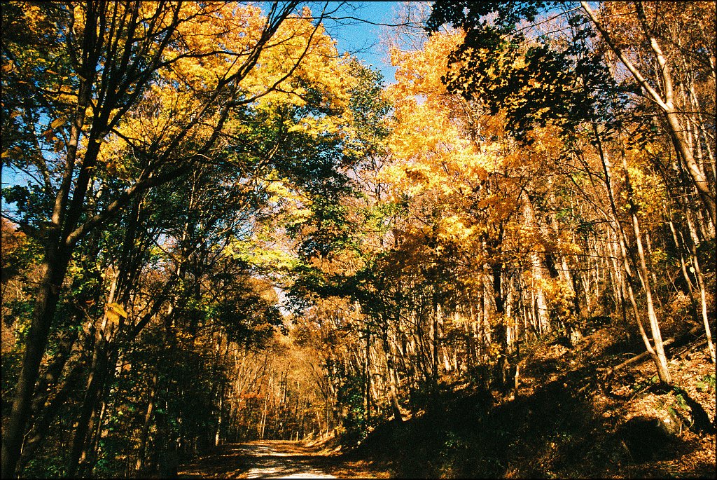 Columbia Trail   