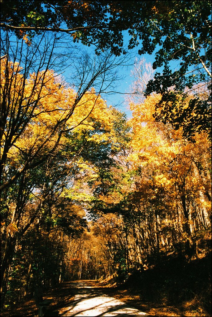 Columbia Trail   