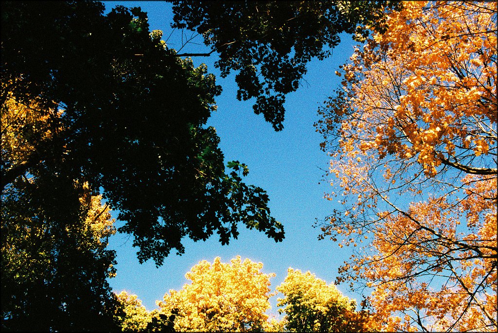 Columbia Trail   