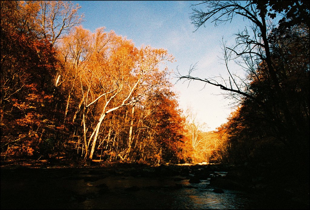 Ken Lockwood Gorge WMA