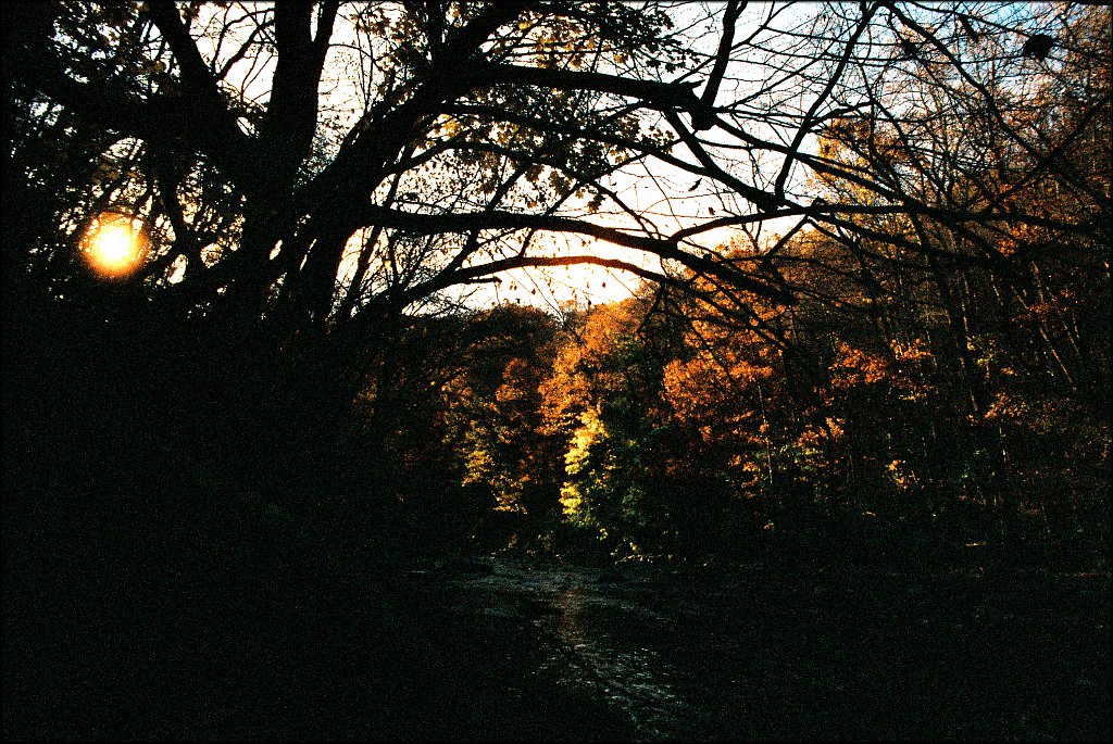 Ken Lockwood Gorge WMA