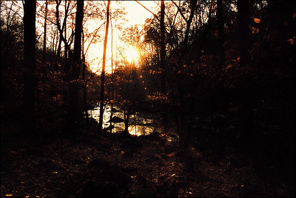 Ken Lockwood Gorge WMA