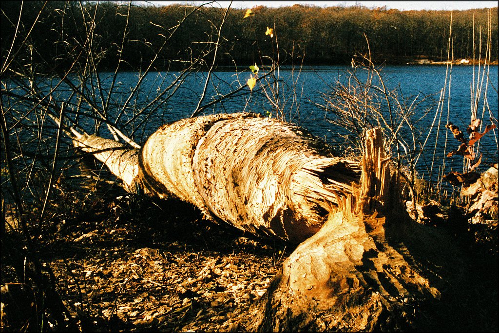 MAHLON DICKERSON RESERVATION 