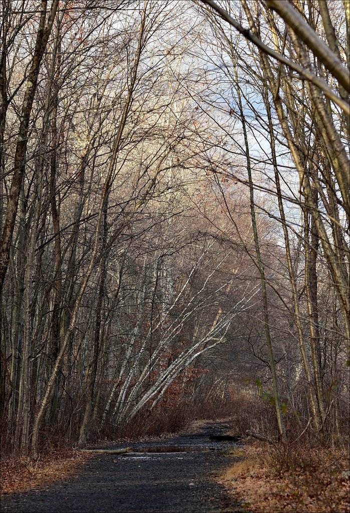 Along The Sussex Branch Trail
