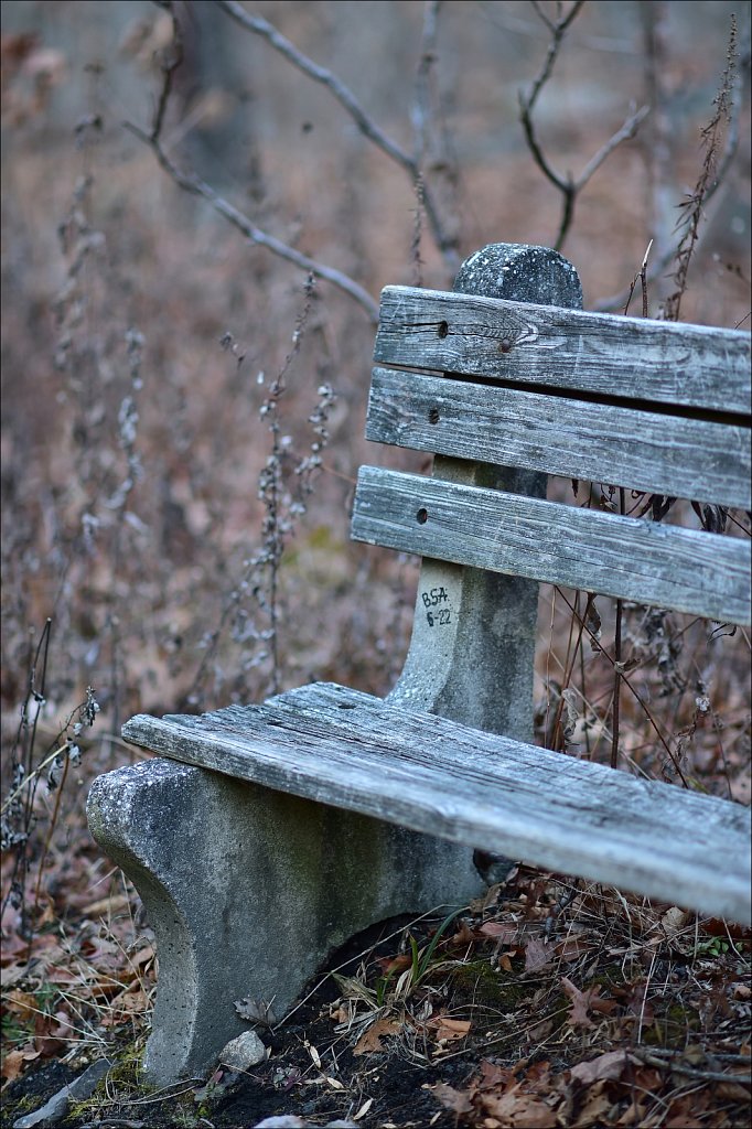 Along The Sussex Branch Trail