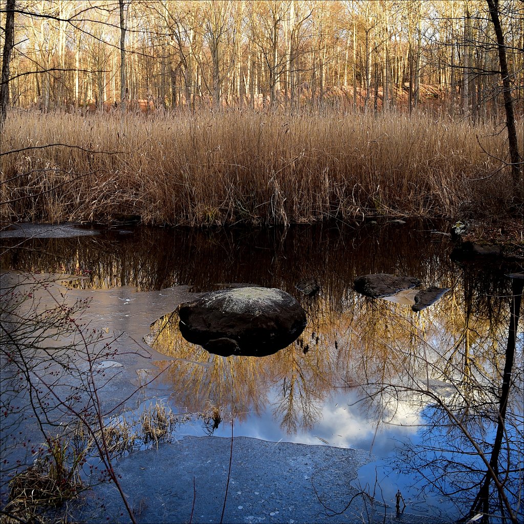 Along The Sussex Branch Trail