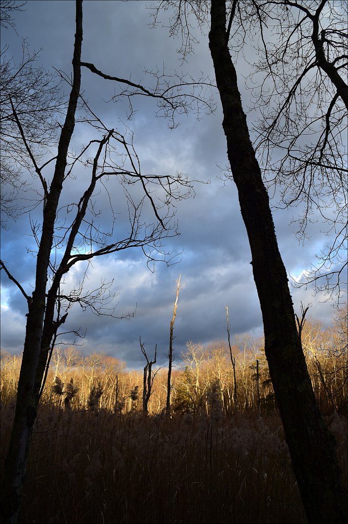 Along The Sussex Branch Trail