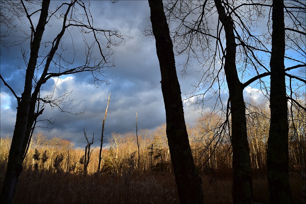 Along The Sussex Branch Trail