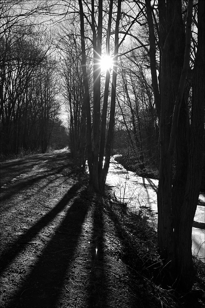 Columbia Trail