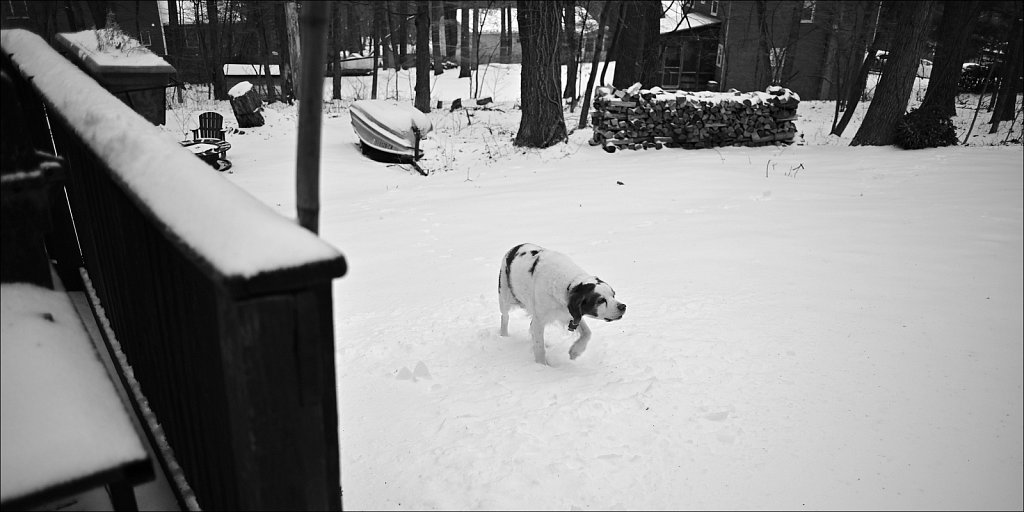 Testing the Minolta MD Celtic 28mm F/2.8