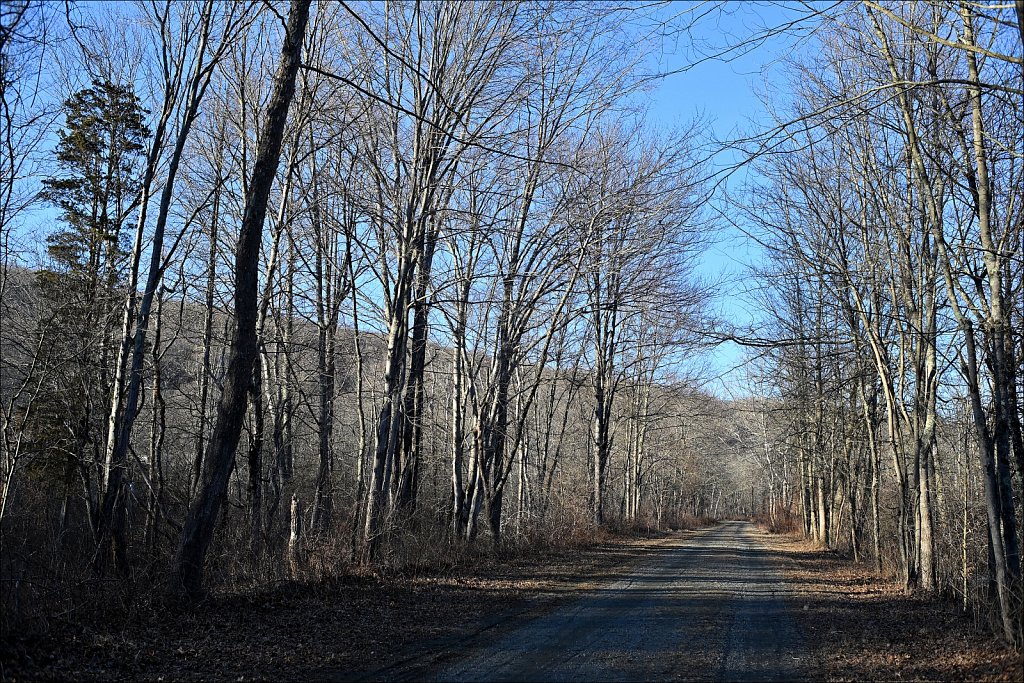 Columbia Trail