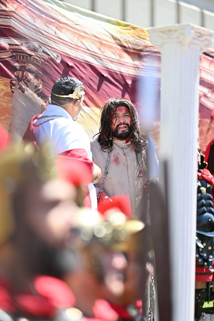 Christ's Passion