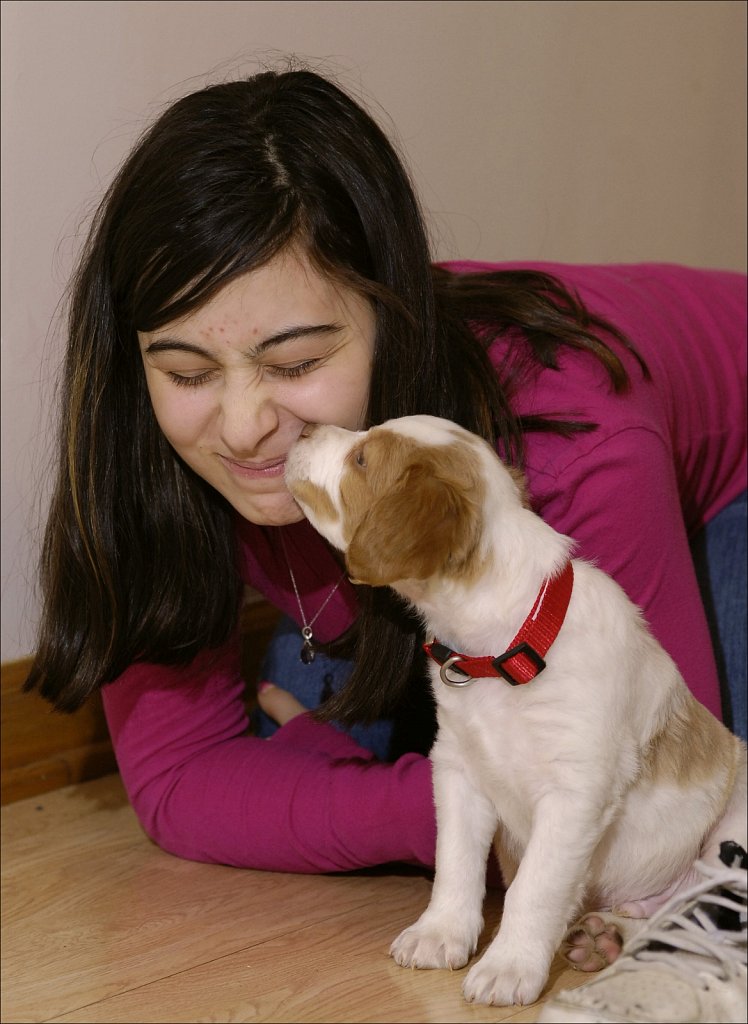 Copper's First Day at Home