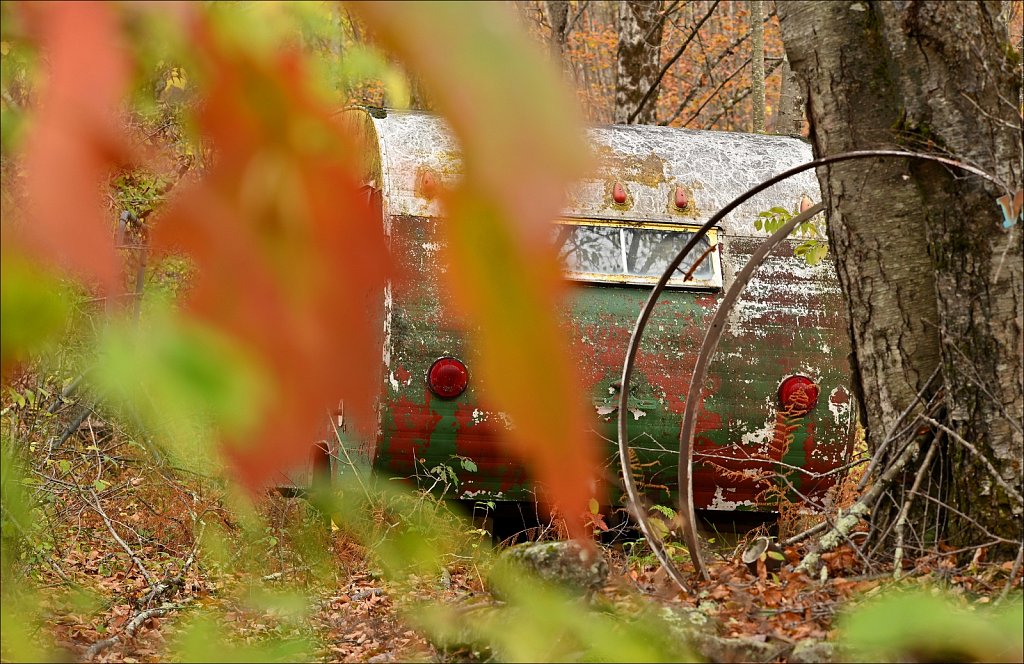 Fall 2025 Upstate NY