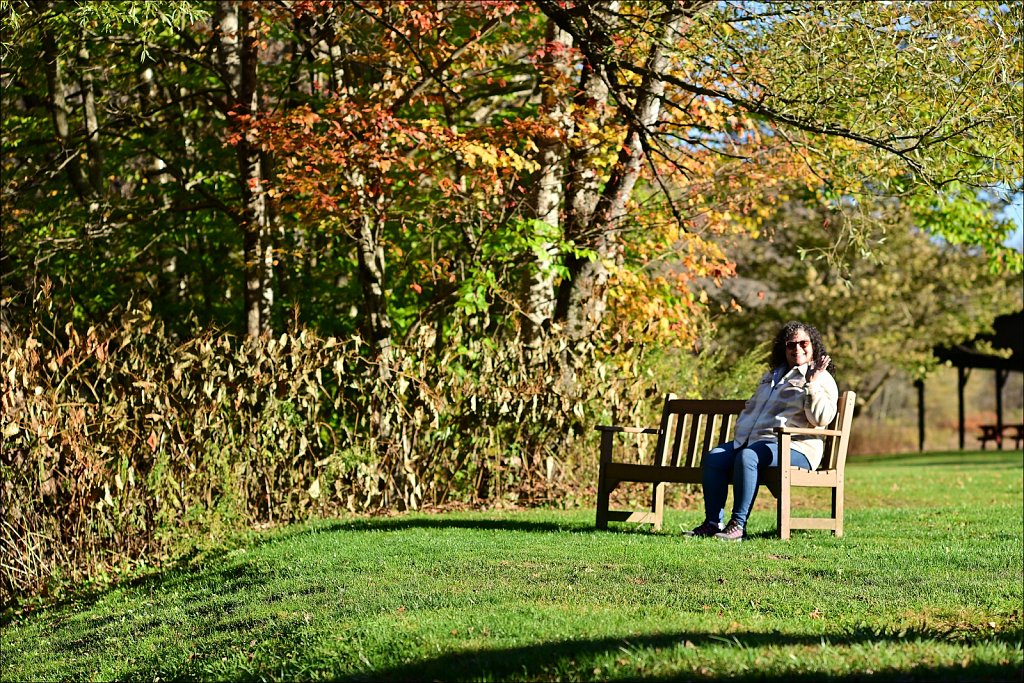 Livingston Manor Covered Bridge