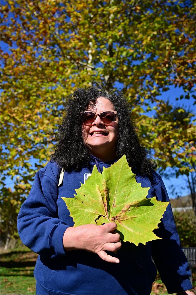 Riverside Park along The Willowemuc 
