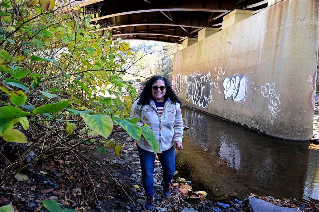 Riverside Park along The Willowemuc 